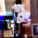 W hotel 時尚桃紅盛宴. Danny's Flower